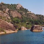 Lisa Stokes - Instagram Profile Picture of Lisa Stokes (@molinogaitan) on Instagram