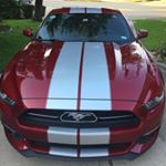 Profile Picture of Tracy Templer (@tetempler) on Instagram