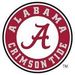 Profile Picture of Jeremy Brehm (@jeremybrehm5) on Pinterest