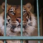 Profile Picture of Samo Zidzik (@samozidzik) on Instagram