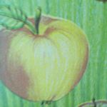 Profile Picture of lara kaufmann (@lara.kauf2005) on Instagram