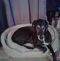 Profile Picture of Harley Jane Coffelt (@harleyjane.coffelt) on Facebook