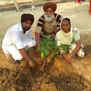 Profile Picture of Teja Singh Insan (@tejasingh008) on Twitter