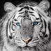 Profile Picture of Huy Đinh (@giahuy.dinh.33449) on Facebook