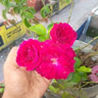 Profile Picture of Anjali Chandra (@anjali-chandra-102) on Quora