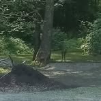 Profile Picture of Kevin Bowman (@kevin.bowman.485523) on Facebook