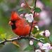 Profile Picture of Kathy Decker (@kathy.decker.357) on Facebook