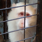 Profile Picture of Dykt Mohigan (@dykt mohigan) on Flickr