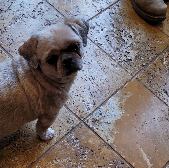 Profile Picture of Tony Macera (@tmac3160) on Poshmark