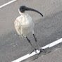 Profile Picture of Daniel Dutton (@@MrButtole) on Tiktok