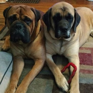 Profile Picture of James E. Tocyloski (@jtocyloski) on Twitter