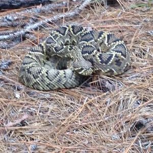 Profile Picture of Jc Thompson (@jc_thompson10) on Twitter