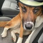 Profile Picture of Markus Dauber (@Markus-Dauber) on Facebook