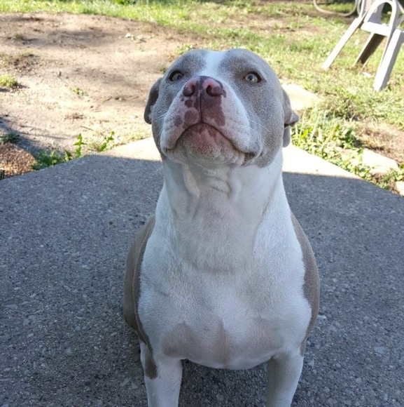 Profile Picture of Patrick Nowatzki (@pnow80) on Poshmark