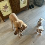 Profile Picture of Chris Stock (@Chris-Stock) on Facebook