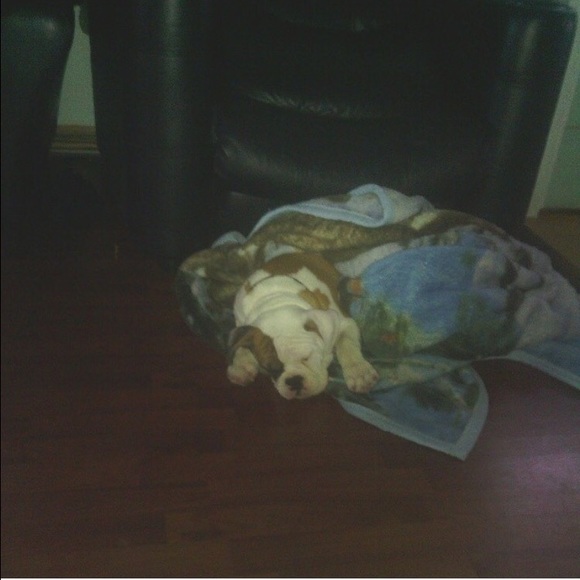 Cassandra Almaguer - Poshmark Profile Picture of Cassandra Almaguer (@cassy2004) on Poshmark