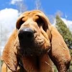 Profile Picture of Jim Brinkmann (@jimbrinkmann) on Instagram