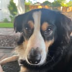 Profile Picture of Garyn BoydReniger (@garyn.boyd.3) on Facebook