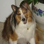 Profile Picture of Diane Froseth Barnett (@frosethbarnett) on Instagram