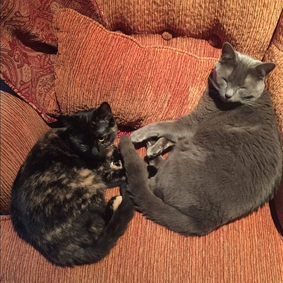 Profile Picture of Emma Muniak (@emmarmuniak) on Poshmark