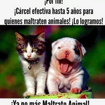 Profile Picture of Martha Ruby Suarez (@martharubysuar1) on Twitter