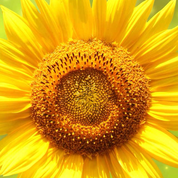 Profile Picture of Jaime Hayden (@jaimison22) on Poshmark