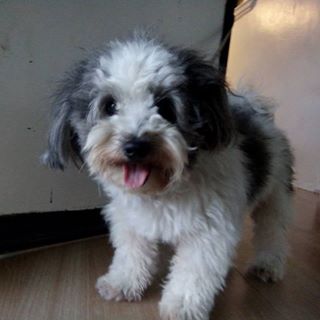 Profile Picture of Leira Kisha Salas (@theMatterBayB) on Facebook