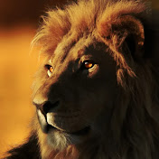Profile Picture of Demetrius Gibson (@Kyfs1) on Youtube