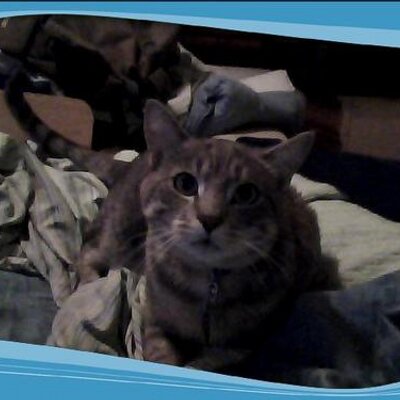 Profile Picture of Patrick Calhoon (@patrickcalhoon) on Twitter