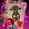 Profile Picture of AJ Foster (@AJ-Foster) on Facebook