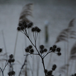 Profile Picture of Josh Varley (@squashycake) on Flickr