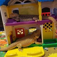 Profile Picture of Tamara Des Cotes (@tamara-des-cotes) on Quora