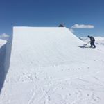 Profile Picture of Carsten Wiegand Hansen (@selleristen) on Instagram