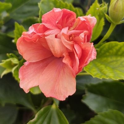 Profile Picture of No Name (@KellyWicker8) on Twitter