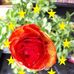 Profile Picture of Jo Hanson (@jo.hanson.3114) on Facebook