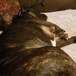 Profile Picture of Tina Monk (@tina.monk.37) on Instagram