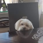 Profile Picture of Stephen Faulkner (@stephen.faulkner.757757) on Facebook