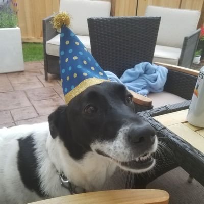 Profile Picture of Aby R Neb (@BenRyba1) on Twitter