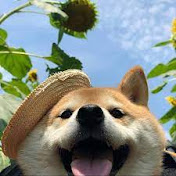 Profile Picture of Mario Genovese (@mariogenovese4125) on Youtube