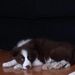 Profile Picture of Casey Stocker (@casey5966) on Pinterest