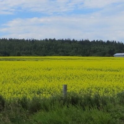 Profile Picture of Anne Ouellet (@Anou20121) on Twitter