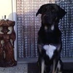 Profile Picture of Cristian Vlad (@cristianvlad7378) on Instagram