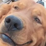 Profile Picture of Clay Mahaffey (@clay.mahaffey.5) on Facebook