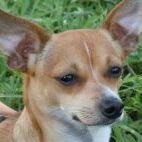 Profile Picture of Stacey Hammans (@staceyhammans) on Pinterest