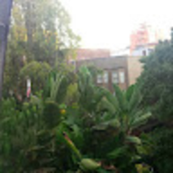 Profile Picture of Susan Grabicki (@lottecat) on Poshmark