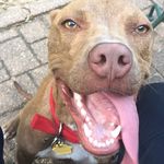 Profile Picture of Christopher Kuhn (@christopher.kuhn.391) on Instagram