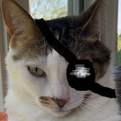 Profile Picture of Daniel Sweetman (@danielsweetman8034) on Youtube