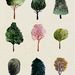 Profile Picture of Erin (@erin_roundtree) on Pinterest