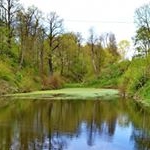 LUETKEMEYER - Instagram Profile Picture of LUETKEMEYER (@luetkemeyerher) on Instagram