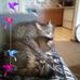 Profile Picture of Sharon Heiser (@sharon.heiser.58) on Facebook